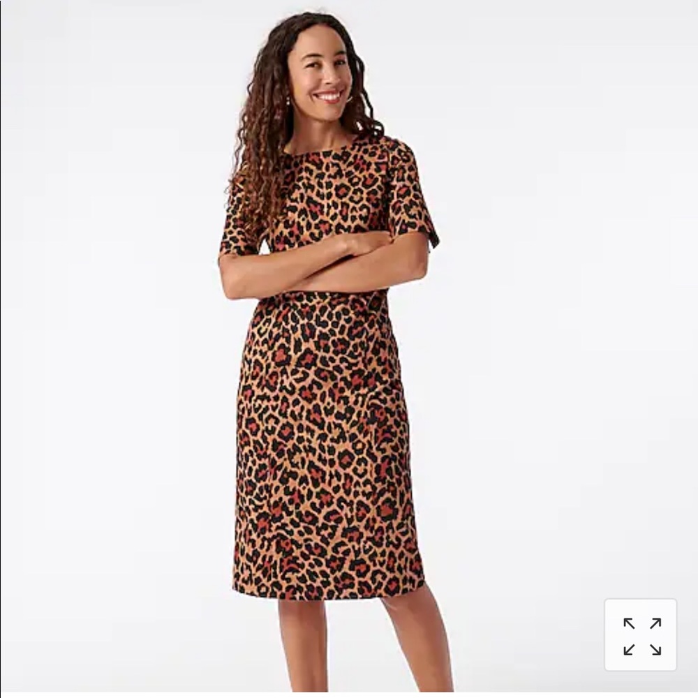 J Crew Tall elbow-sleeve sheath dress in leopard